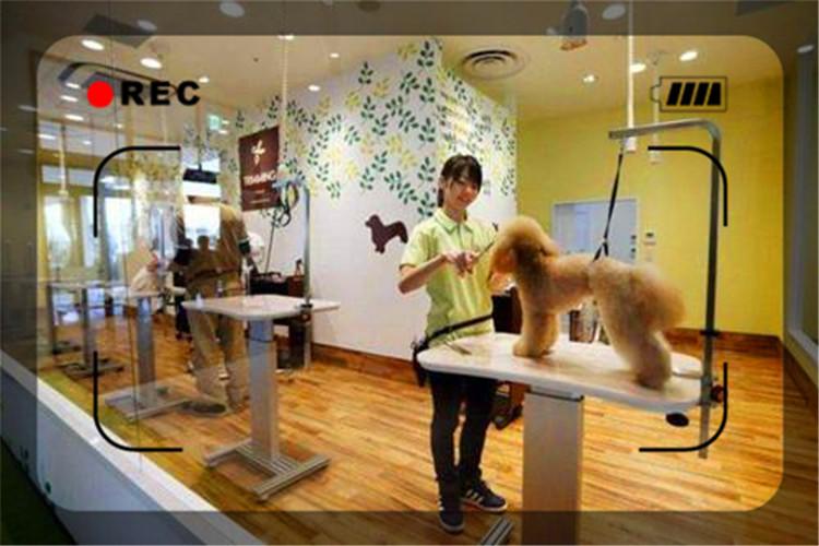 目前经济形势下,开什么样的实体店比较稳妥呢?推荐几个供参考