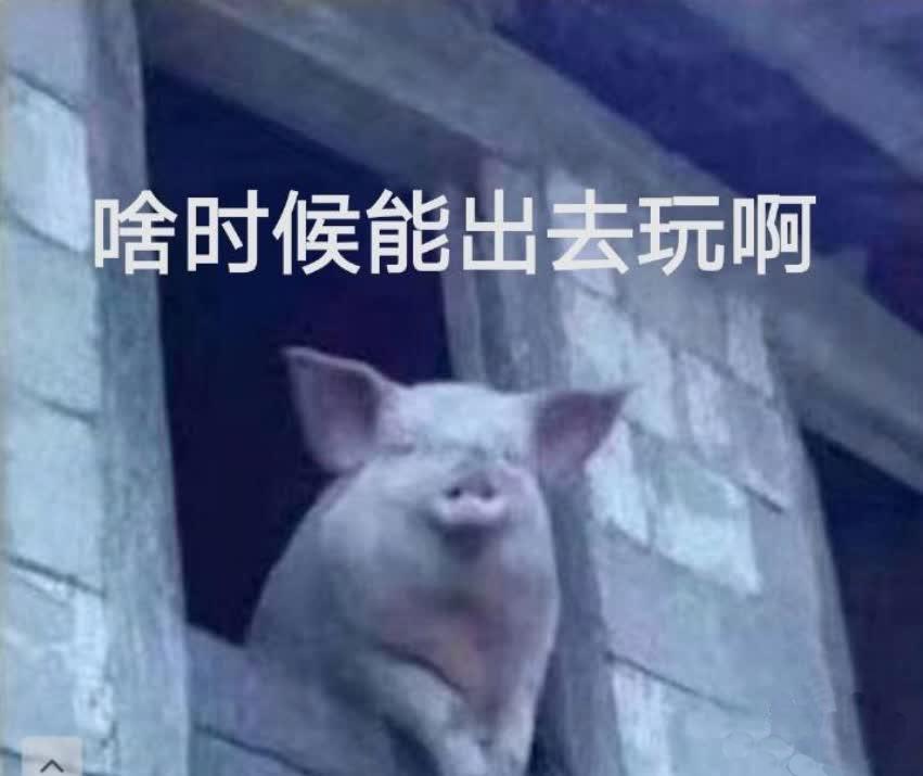 这些淘宝推荐的神器买回家,我被我妈嘲笑了50遍