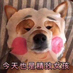 这些淘宝推荐的神器买回家,我被我妈嘲笑了50遍