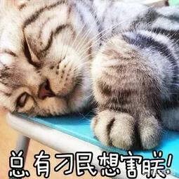 网购的化妆品你敢用吗?