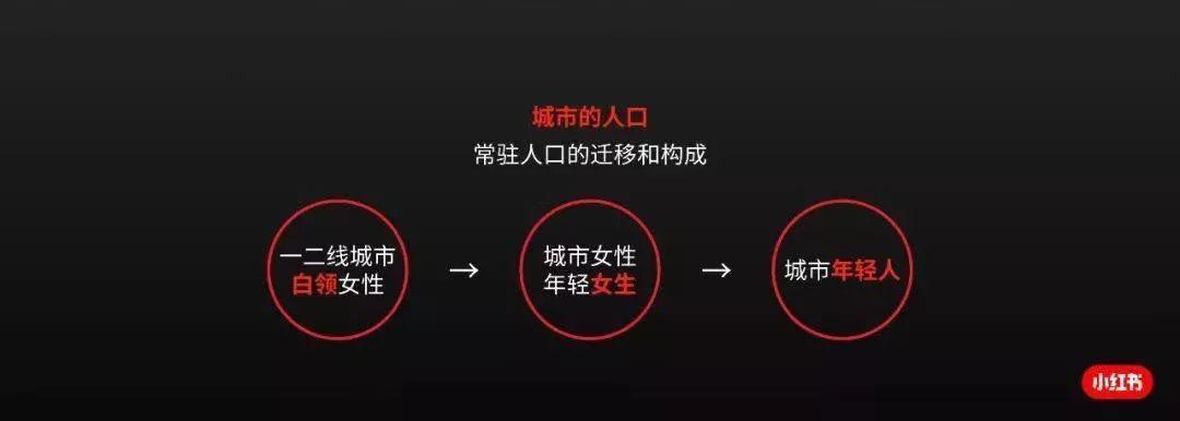 小红书是人的集合,不是内容的集合