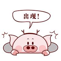 拼多多竞价技巧（电商运营和竞价哪个好）