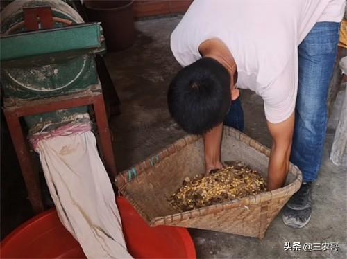 农村20多个门路赚的钱不少,也许比你打工强