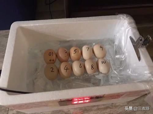 农村20多个门路赚的钱不少,也许比你打工强