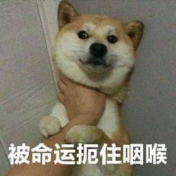 兼职陷阱频出现,店宝宝公司教大家如何避免入坑