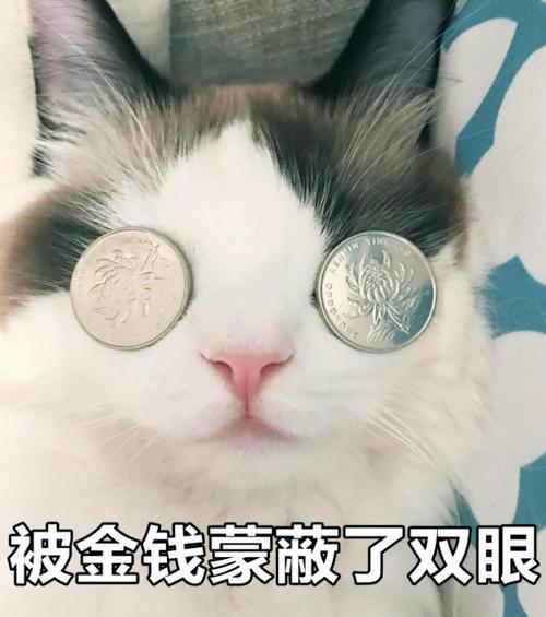 兼职陷阱频出现,店宝宝公司教大家如何避免入坑