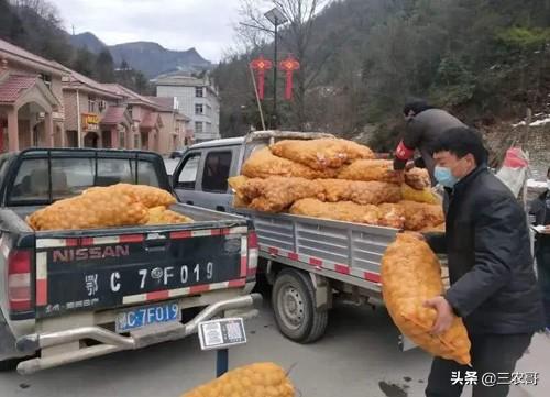 外面生意不好做,回农村这10个项目赚钱就不难