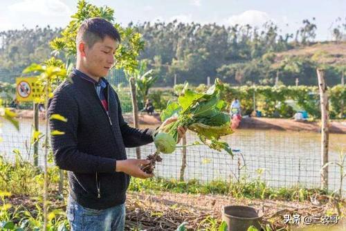 外面生意不好做,回农村这10个项目赚钱就不难