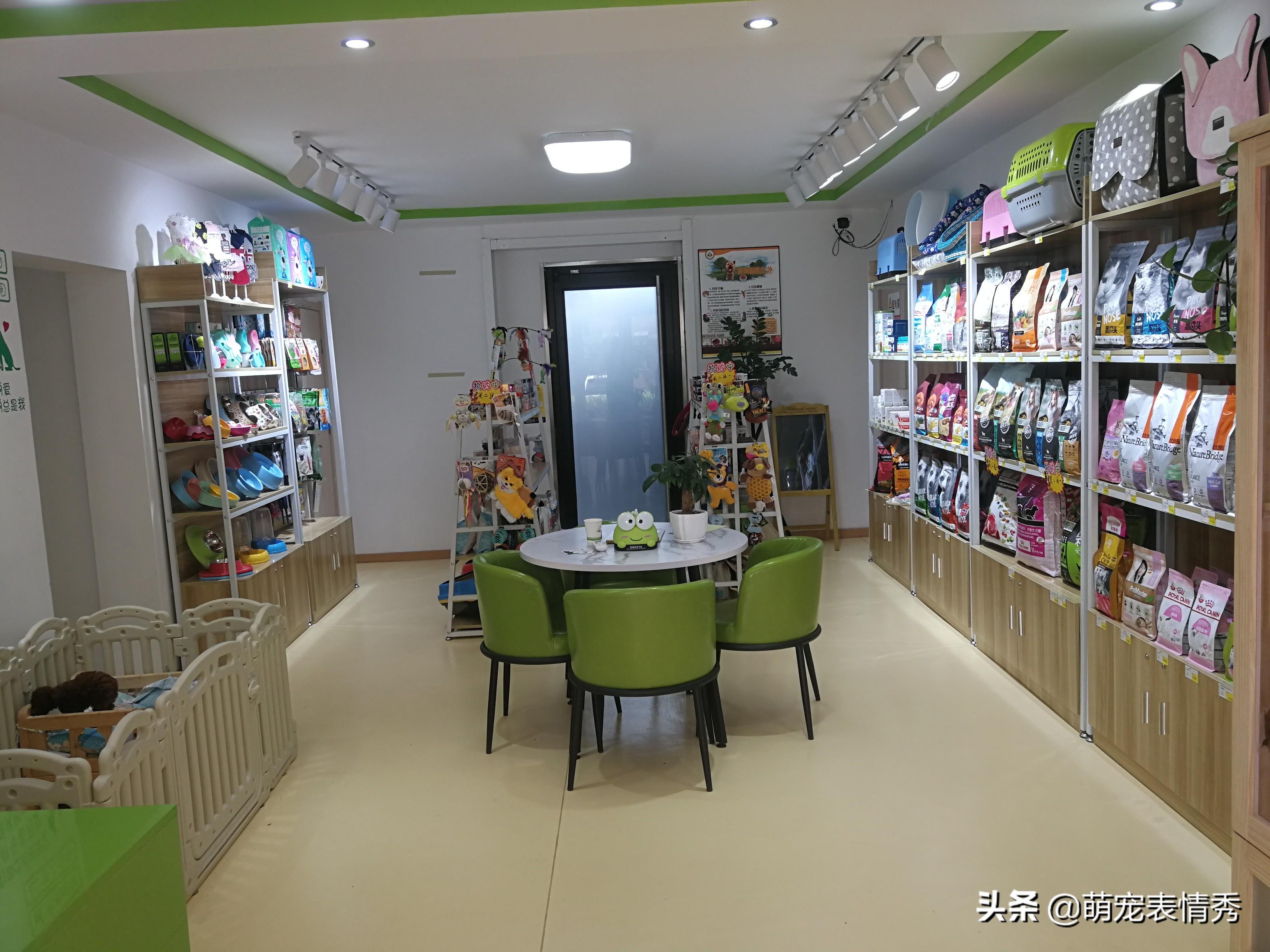 现在开宠物用品店的利润怎么样?