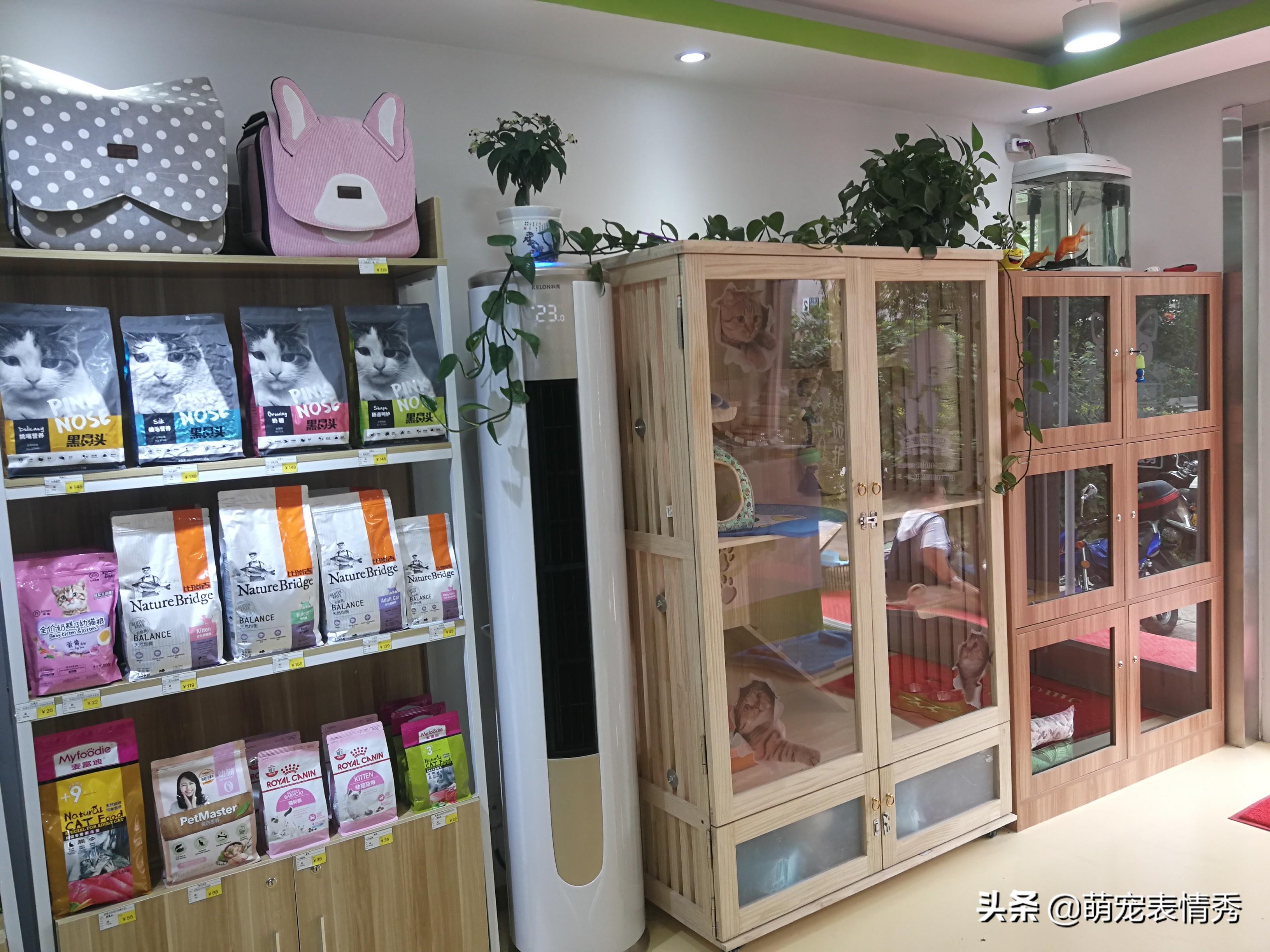 现在开宠物用品店的利润怎么样?