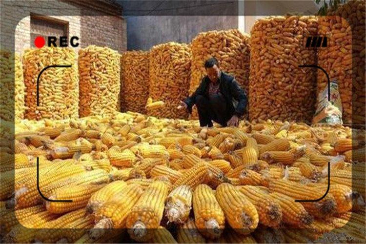 2020年有哪些小工厂项目,是适合一个穷人创业的?推荐这几个