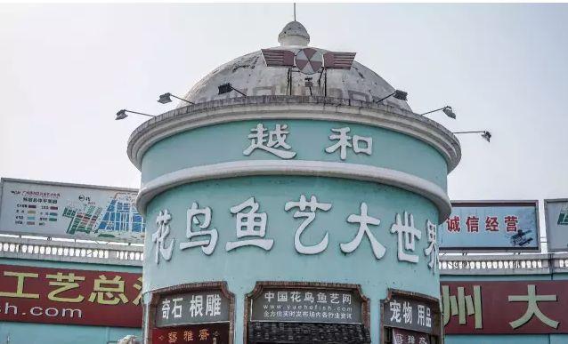 广州各大批发市场最新全攻略,9成广州人买年货都要去!
