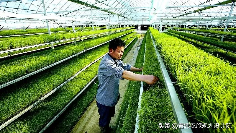 28个农业扶持大项目,总有一款能够适合你!