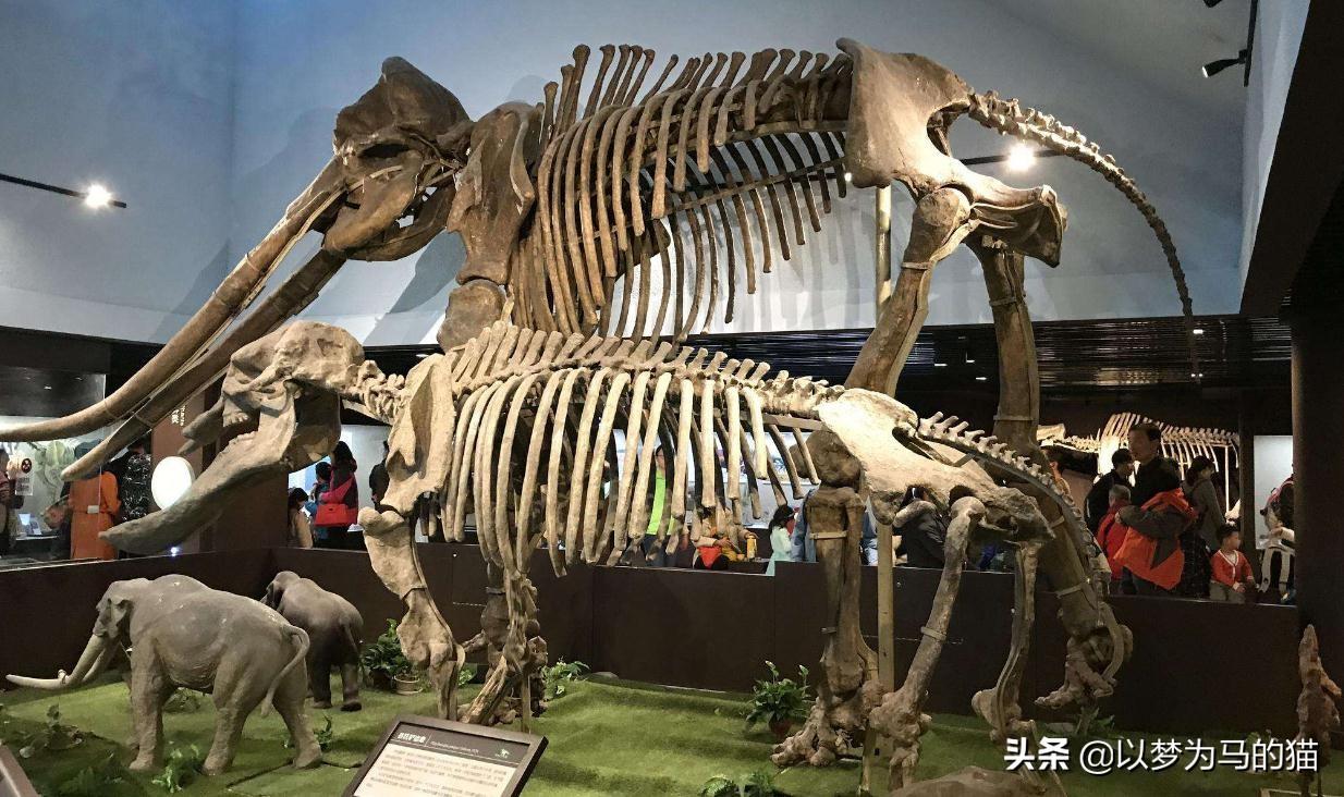 这8个“冷门专业”就业率高,虽然就业面窄,但需求量比较高