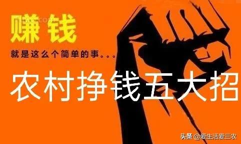 农村挣钱门路多,这五个低成本项目能快速致富!