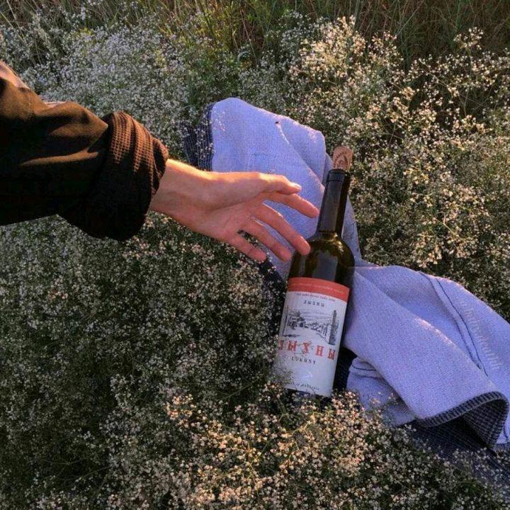 30条关于宿舍沙雕群名,总有一条你用的上:有福同享 有难退群