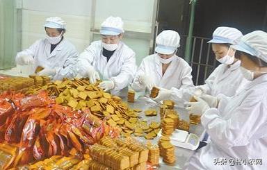 农村创业干啥最赚钱?这12个农村致富好项目,你值得一试
