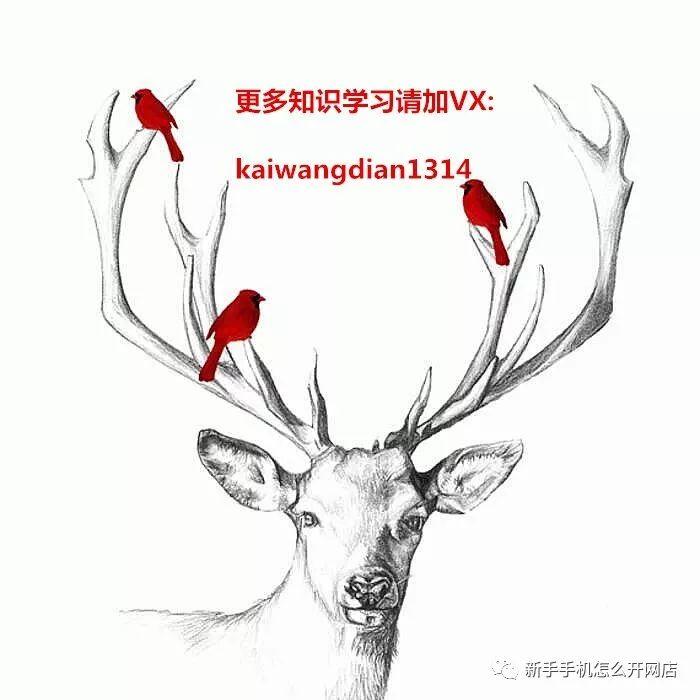 想开个网店卖什么好（开网店需要的程序）