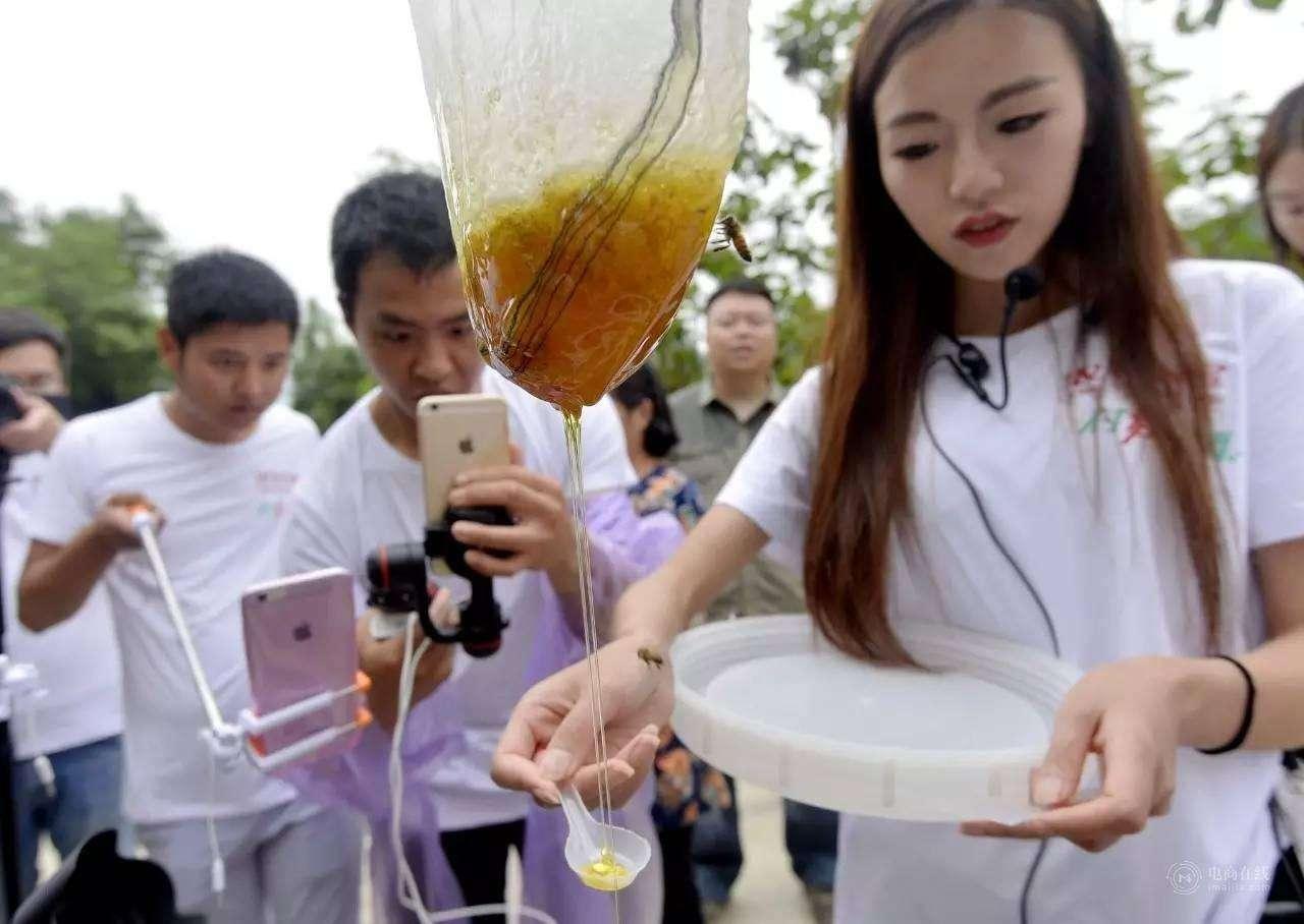 农村妇女在家没事干,可以做点小活挣笔外快,这四种活就适合