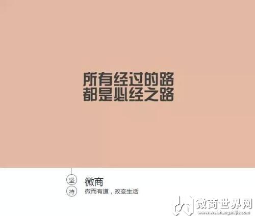 微商代理哪个品牌好（适合学生做的微商代理有哪些）