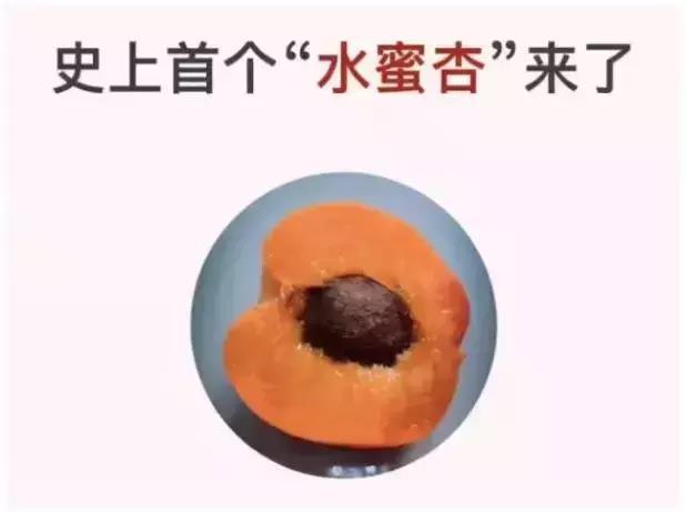 他靠这套卖货文案公式日均水果500单,你也可以学会