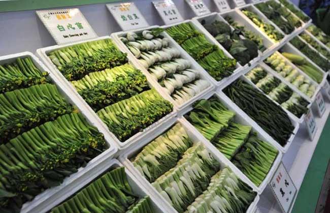 10个家庭加工致富项目