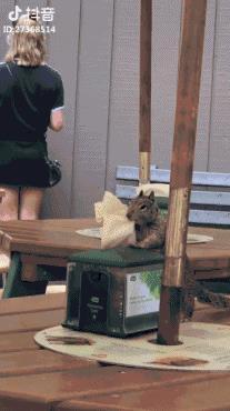 最全抖音上推荐干货整理,吐血推荐!