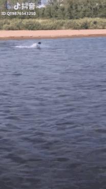 最全抖音上推荐干货整理,吐血推荐!