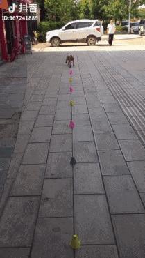 最全抖音上推荐干货整理,吐血推荐!