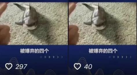 抖音新手创作指南,你想知道的,这里都有