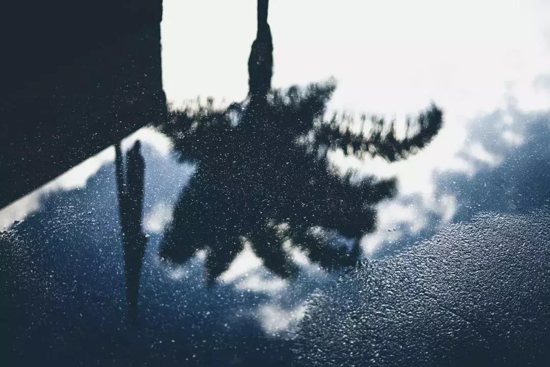 抖音短视频怎么拍,如何拍出爆红的抖音短视频