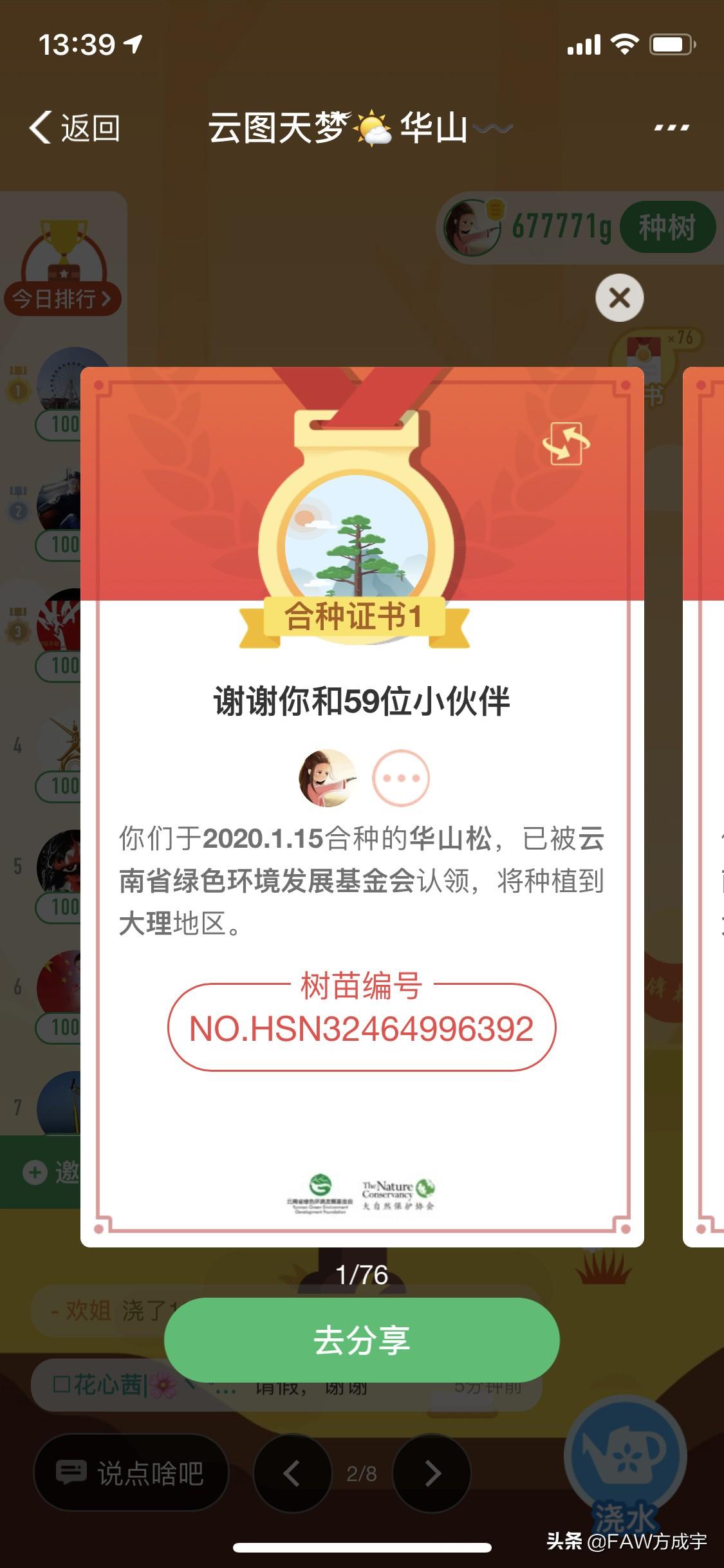 马云支付宝蚂蚁森林大树合种攻略