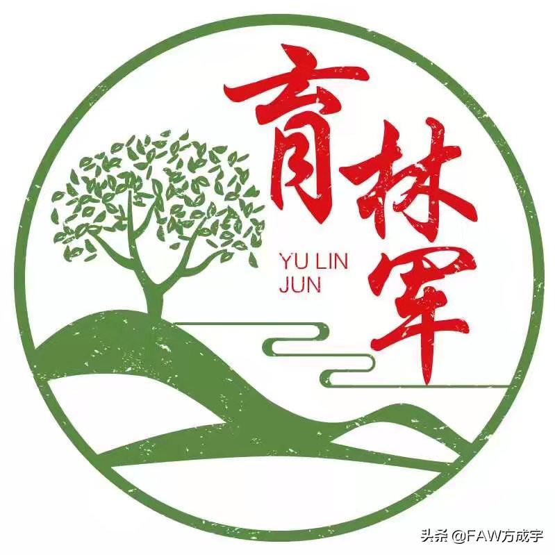 马云支付宝蚂蚁森林大树合种攻略