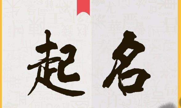 网店名称怎么取好（淘宝店铺取名技巧与禁忌）