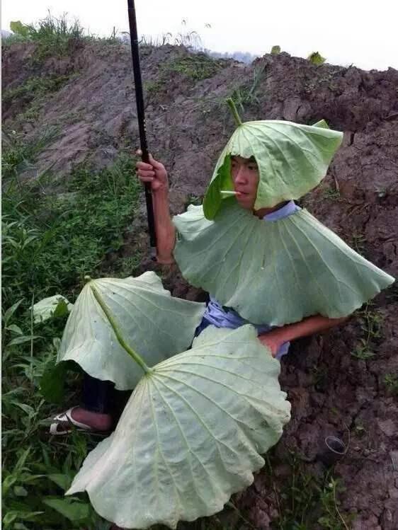 节能环保项目有哪些（推荐6个环保创业项目）