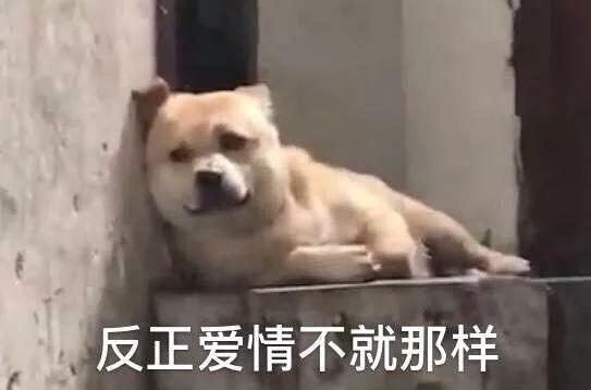 这些天猫旗舰店假的!都是假的