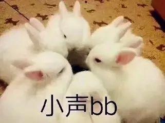 这些天猫旗舰店假的!都是假的