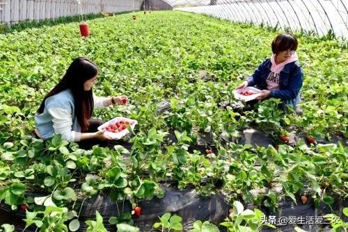 小项目赚大钱,这十个你看不上眼的小项目,真的很赚钱