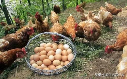 小项目赚大钱,这十个你看不上眼的小项目,真的很赚钱
