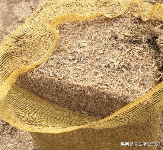 小项目赚大钱,这十个你看不上眼的小项目,真的很赚钱