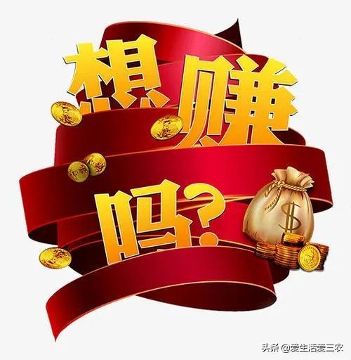 小生意赚大钱,你想不到的这些小生意,也能赚大钱