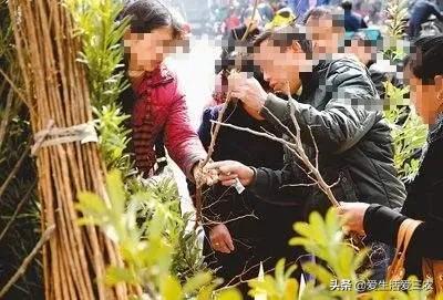 小生意赚大钱,你想不到的这些小生意,也能赚大钱