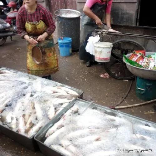 小生意赚大钱,你想不到的这些小生意,也能赚大钱