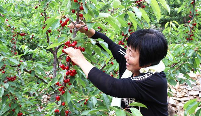 淘宝吃货节什么时候（吃货节文案宣传语）