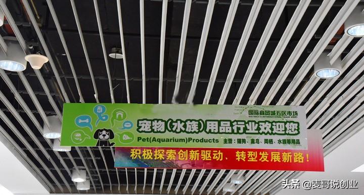 创业行业选择之冷门的宠物用品市场,正是进入的好时候,赶快收藏