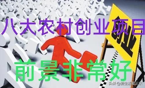 2021年适合农村的项目（适合农村发展的新商机）