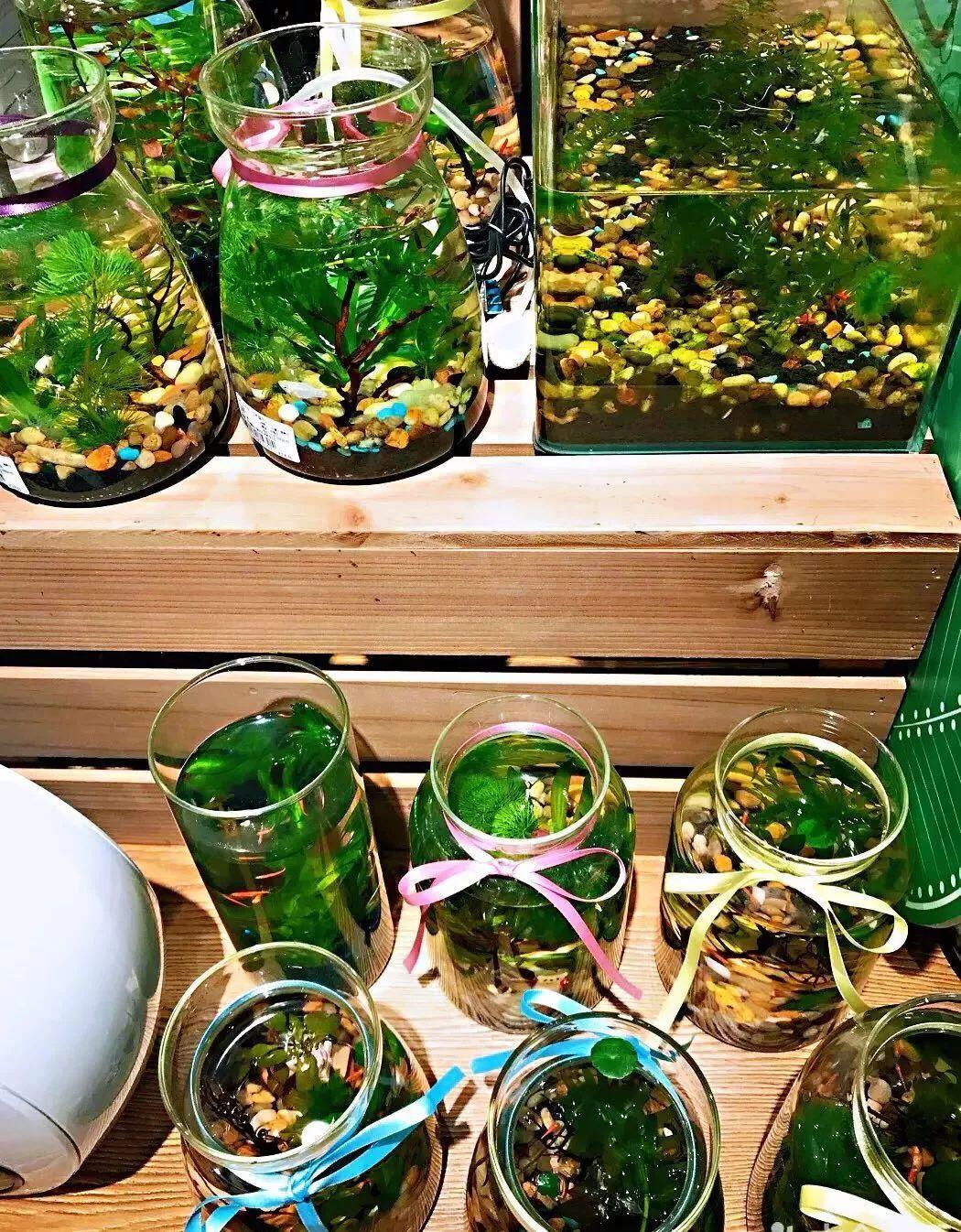 宝安这5家创意满分的杂货铺,要我逛一整天都愿意啊!