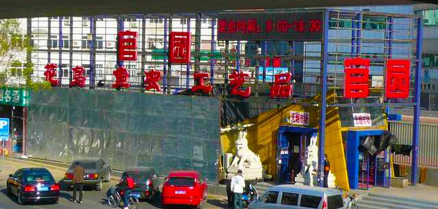 北京宠物市场在哪（北京十大花鸟鱼虫市场逛街攻略）