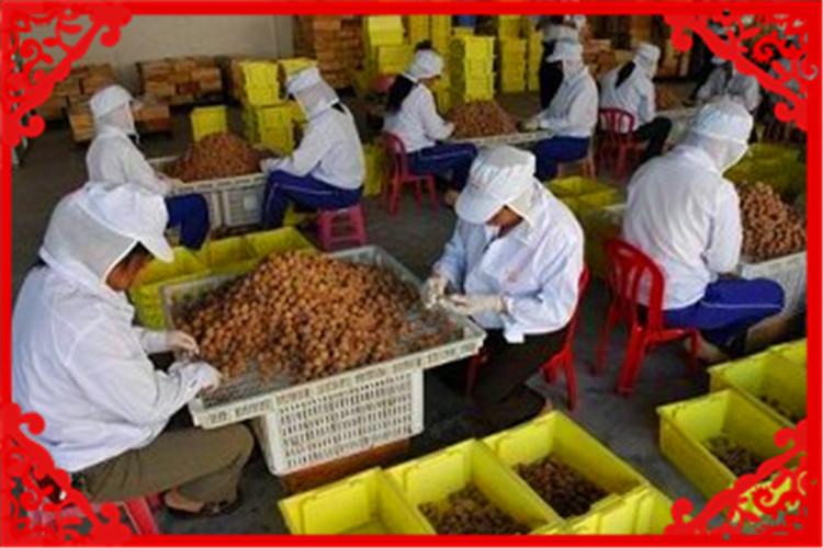 小型加工好项目排行榜（目前5万元能开哪些小型加工厂）