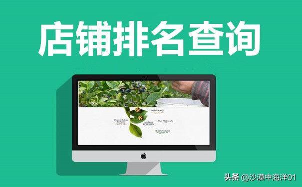 淘宝店铺排名如何查询?